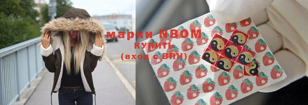 mix Богородицк
