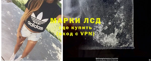 прущие грибы Тутаев