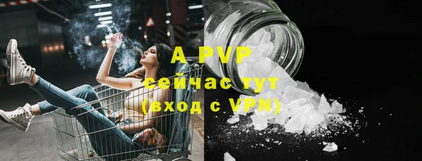 мескалин Богданович